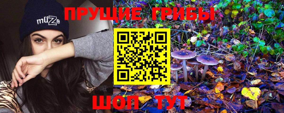Псилоцибиновые грибы Magic Shrooms  Вход с VPN  Волгодонск 