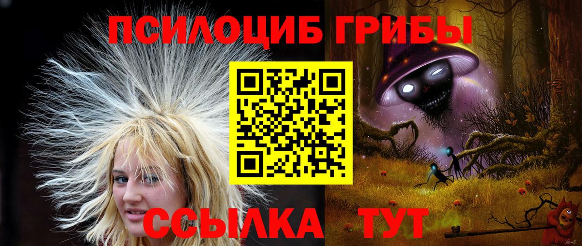 Галлюциногенные грибы прущие грибы Волгодонск